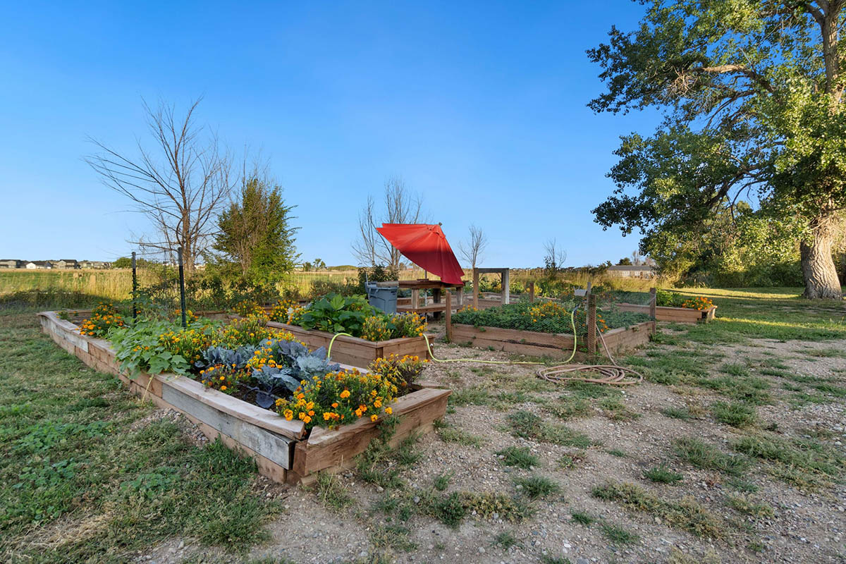 Fort Collins, CO, nine car garage, home remodel, large backyard, garden